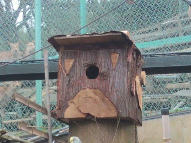 鳥巣箱