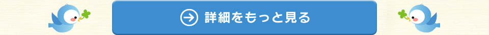 詳細をもっと見る