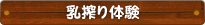 乳搾り体験