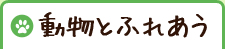 動物とふれあう