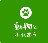 動物とふれあう