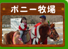 ポニー牧場