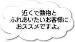 どうぶつにごはんをあげよう