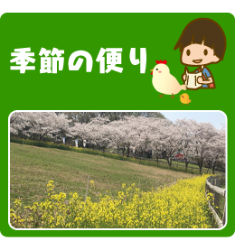 季節の便り