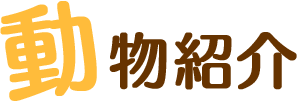 動物紹介