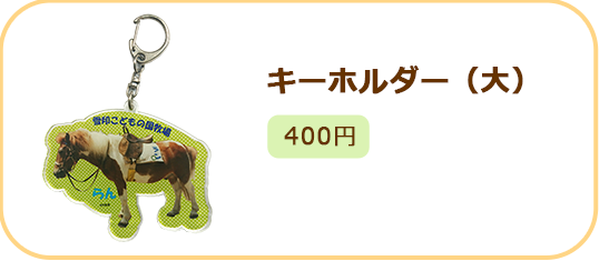 キーホルダー（大）400円