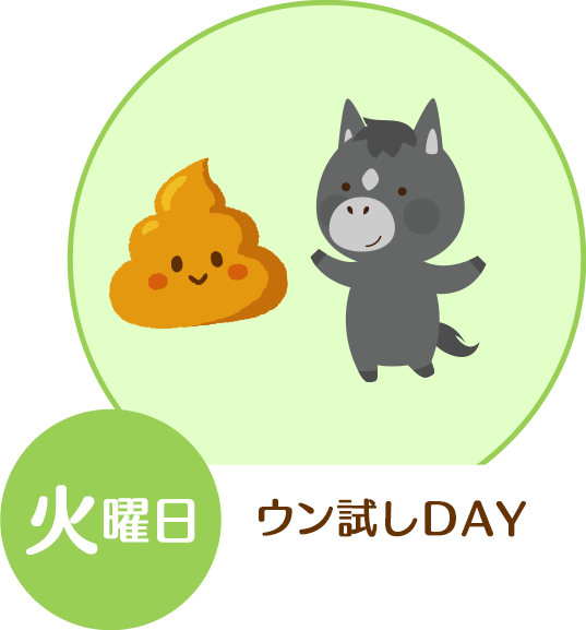 火曜日・ウン試しDAY