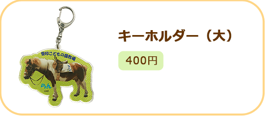 キーホルダー(大)