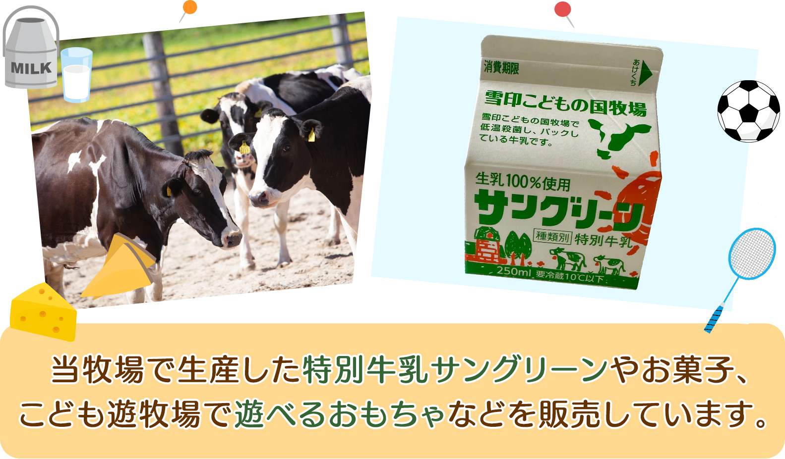 当牧場で生産した特別牛乳サングリーンやお菓子、こども遊牧場で遊べるおもちゃなどを販売しています。