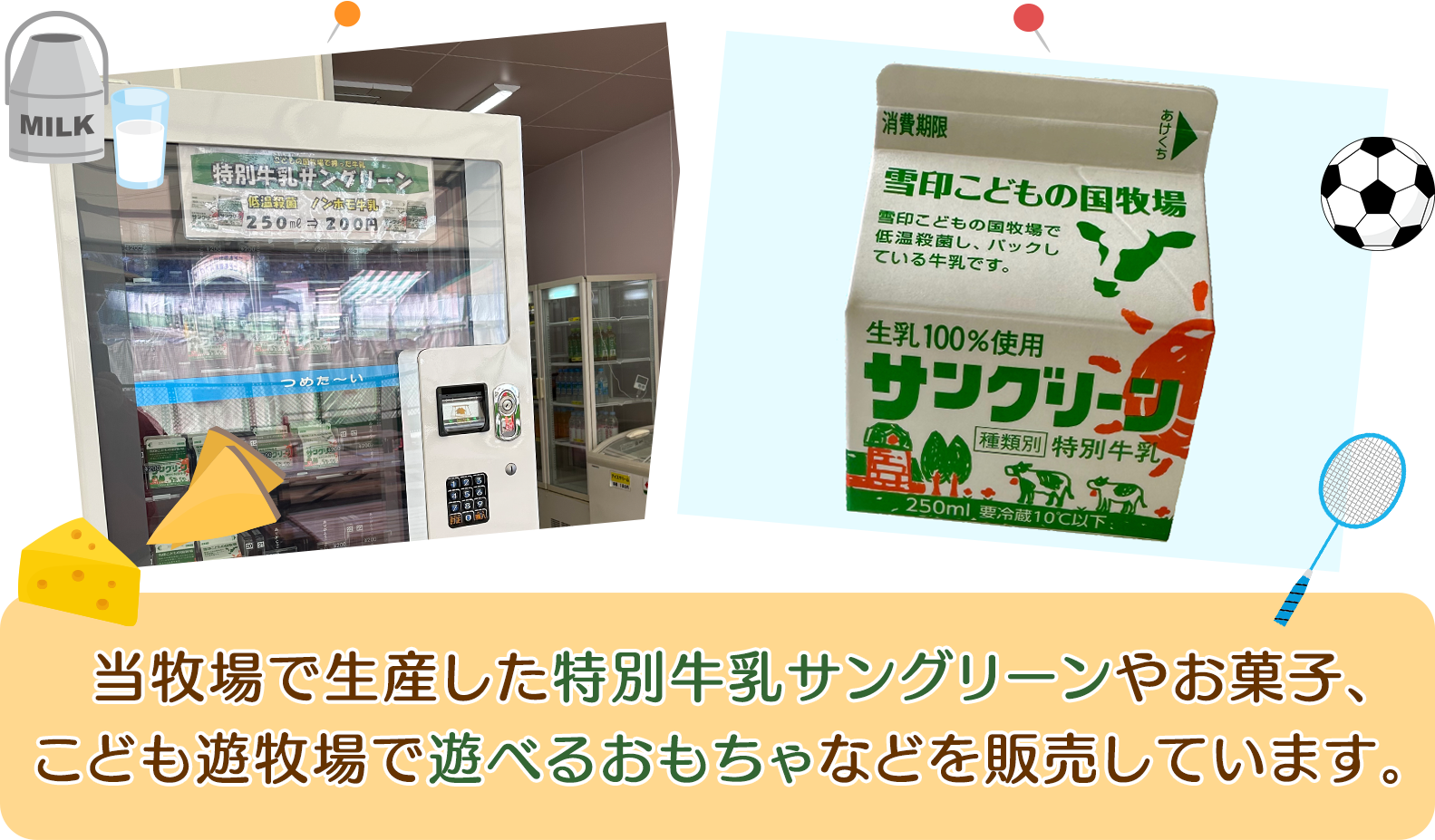 当牧場で生産した特別牛乳サングリーンやお菓子、こども遊牧場で遊べるおもちゃなどを販売しています。