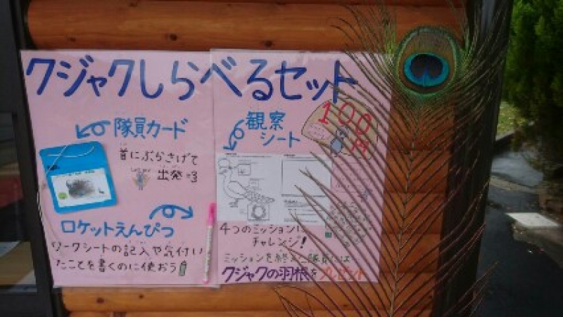 くじゃく調べる隊ポスター