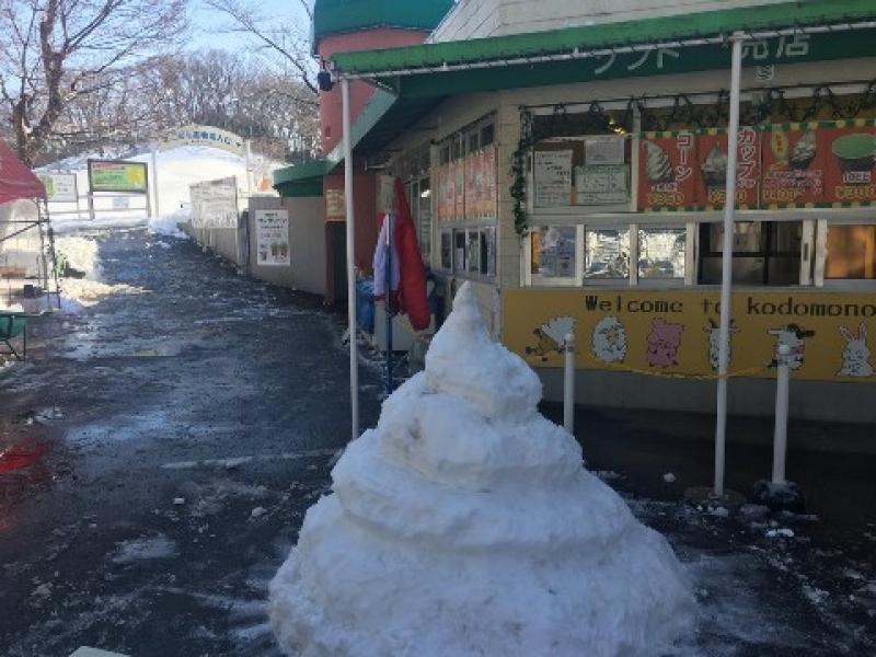 雪ソフト