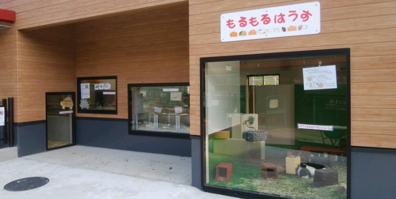 もるもるはうす