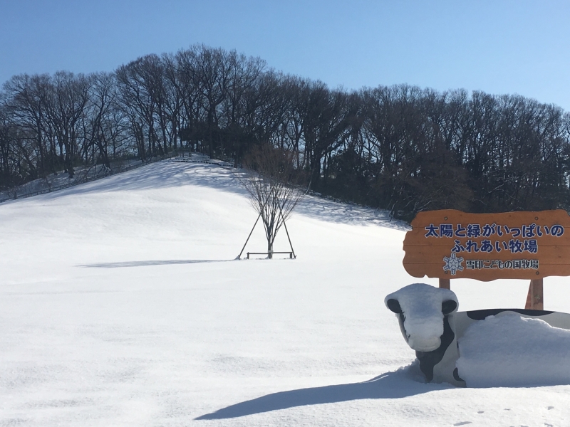 雪景色　（１２～２月）