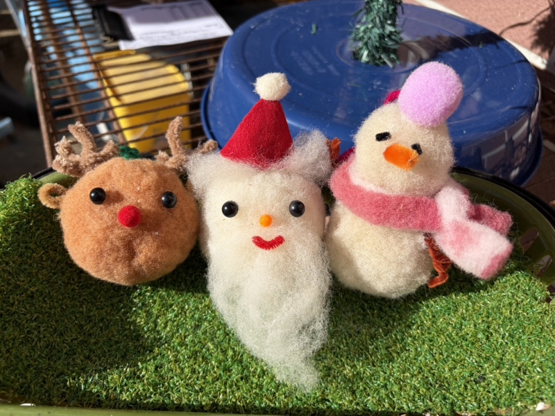 2025冬_羊毛工作教室