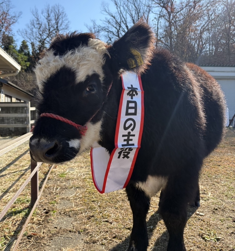 2025_モフオくん